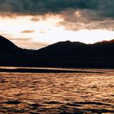 用户3267364011123835头像