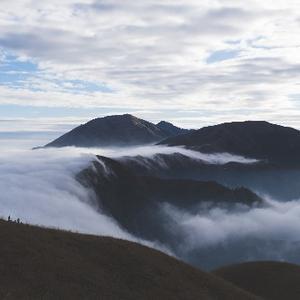 不太一样的老黄头像