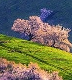 mythfocus的个人资料头像