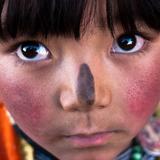 可爱多铁牛头像