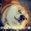 OpenFibers的个人资料头像