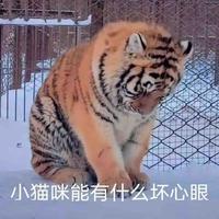 知唐耶头像