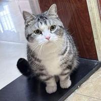 用户407159799620头像