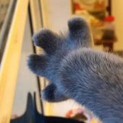 里一昂的个人资料头像