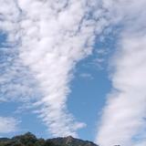 用户4722270214783头像