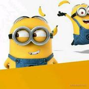 Harrior的个人资料头像