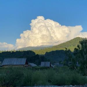 提莫届的扛把子头像