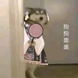 散斋散斋头像
