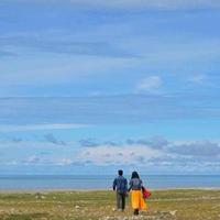 石头22320351头像