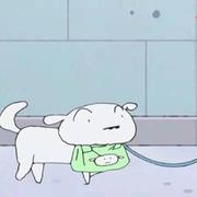 啊喂137的个人资料头像