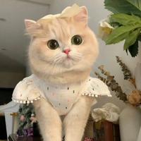 博学多才的春风fyW头像