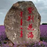 用户8707189567169头像