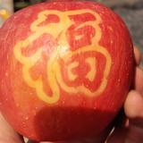 懂我意思吗懂我意思吗头像