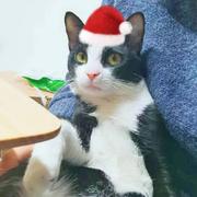 heyc的个人资料头像