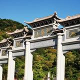 陈陈yOEe头像