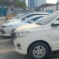 仁者林聚2021头像