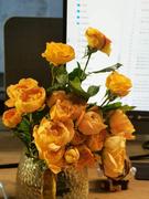 丹川川的个人资料头像