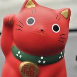 万物自有定定理头像