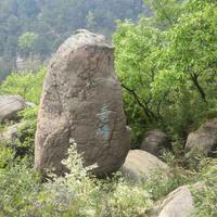 黎明之光459头像