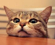 小冥的个人资料头像