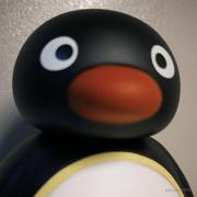 Bytenicc的个人资料头像