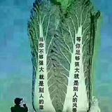 雨过天晴巜詹〉〉头像