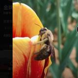 知情达理饭团e3头像