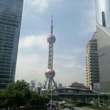 pig哼哼270头像