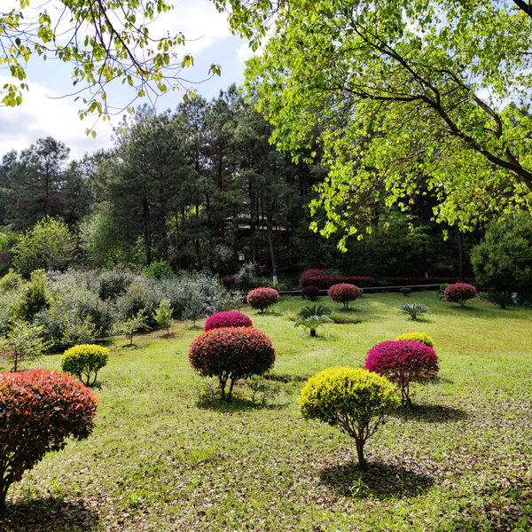 小食堂品鉴官头像