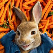 科科科315的个人资料头像