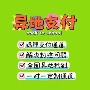 线上远程异地收款通道服务商头像
