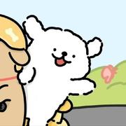 开始607的个人资料头像