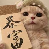 太阳暖人不暖心436头像