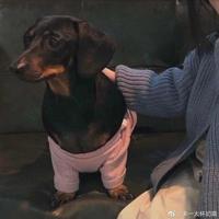 Aaron宝塔头像