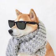 Dark不必的个人资料头像