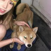 An78的个人资料头像