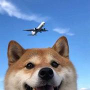 37288的个人资料头像