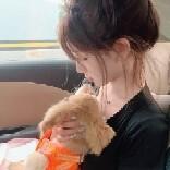 一吃就胖小修兰头像