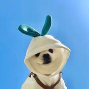 蒋小纹的个人资料头像