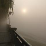 舌尖上的低碳头像