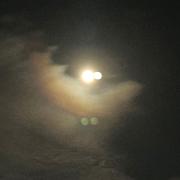 小鹿0206的个人资料头像