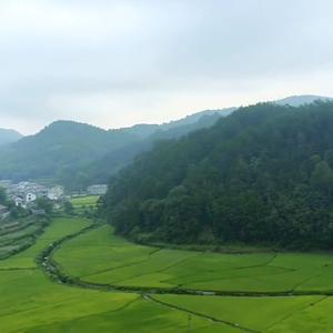 风景在路上头像