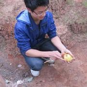 meathross的个人资料头像