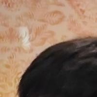 认真的麻酱X3k头像