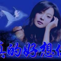 无忌头像
