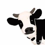 自学玩家的个人资料头像