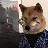 小刘头像