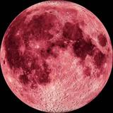 时髦星空Ey头像
