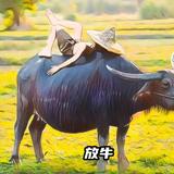 用户7850860957934头像