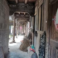 钱呈似紧头像